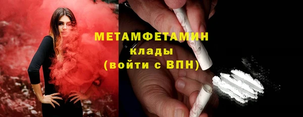 индика Вязьма