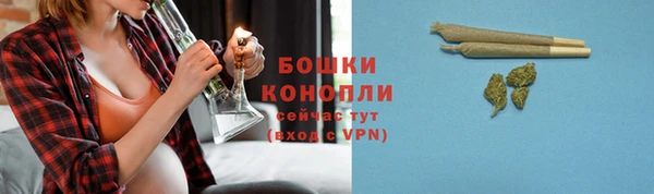 2c-b Горно-Алтайск