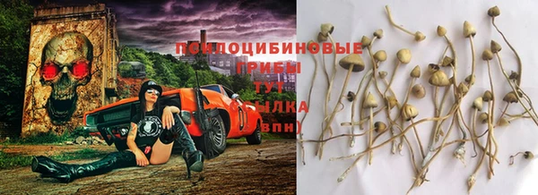индика Вязьма