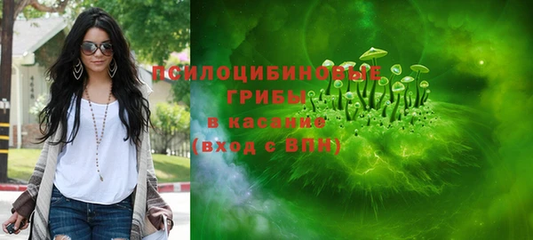 2c-b Горно-Алтайск