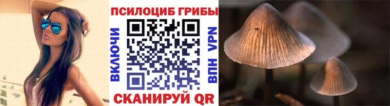 Галлюциногенные грибы GOLDEN TEACHER  ссылка на мегу ссылки  Цоци-Юрт 